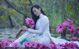 Ngỡ ngàng với cảnh đẹp như tranh của suối Yến chùa Hương mùa hoa súng tháng 11