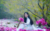 Ngỡ ngàng với cảnh đẹp như tranh của suối Yến chùa Hương mùa hoa súng tháng 11