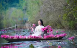 Ngỡ ngàng với cảnh đẹp như tranh của suối Yến chùa Hương mùa hoa súng tháng 11