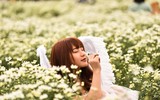 Ngắm thiếu nữ Hà Nội đẹp mơ màng trên cánh đồng cúc họa mi ven sông Hồng