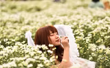 Ngắm thiếu nữ Hà Nội đẹp mơ màng trên cánh đồng cúc họa mi ven sông Hồng