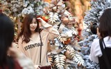 Số ca Covid-19 không ngừng tăng, thiếu nữ Hà Nội vẫn thích thú check-in ở phố Hàng Mã rực màu Giáng sinh