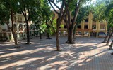 Trường học Hà Nội hối hả dọn dẹp để đón học sinh trở lại trường từ 6/12