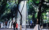 Ngày Tết theo chân những 