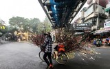 Hoa đào tươi thắm mang Xuân về phố phường Hà Nội bất chấp Covid-19