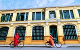 Hoa đào tươi thắm mang Xuân về phố phường Hà Nội bất chấp Covid-19