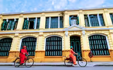 Hoa đào tươi thắm mang Xuân về phố phường Hà Nội bất chấp Covid-19