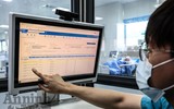 Nồi bánh chưng ấm áp của các 