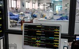 Nồi bánh chưng ấm áp của các 
