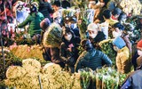 Hình ảnh đặc biệt đêm cuối năm: Người Hà Nội chen chân đội mưa rét đi chợ hoa lớn nhất Thủ đô