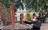 Lãnh đạo Hà Nội dâng hương tưởng nhớ các vị liệt tổ, liệt tông và Chủ tịch Hồ Chí Minh 
