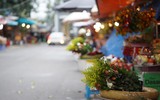 Cảnh vắng lặng hiếm thấy ngày đầu năm mới ở Phủ Tây Hồ 