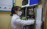 Ngày đầu học sinh tiểu học ngoại thành Hà Nội đội mưa rét đến trường học trực tiếp