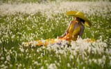 Ngắm cảnh đẹp như tranh vẽ với thiếu nữ bên cánh đồng cỏ lau giữa khu đô thị ở Hà Nội