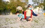 Ngắm cảnh đẹp như tranh vẽ với thiếu nữ bên cánh đồng cỏ lau giữa khu đô thị ở Hà Nội