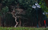 Ngắm phố đi bộ sắp hoạt động đẹp như tranh bên thành cổ đá ong ở Hà Nội
