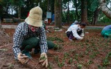 Ngắm phố đi bộ sắp hoạt động đẹp như tranh bên thành cổ đá ong ở Hà Nội