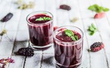 Xem dâu tằm chín đỏ ven sông Đáy, nông dân Hà Nội phấn khởi được mùa