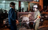 Cận cảnh một buổi làm việc của tổ săn bắt chó thả rông ở Hà Nội 