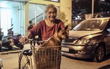 Cận cảnh một buổi làm việc của tổ săn bắt chó thả rông ở Hà Nội 