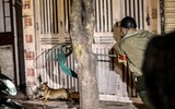 Cận cảnh một buổi làm việc của tổ săn bắt chó thả rông ở Hà Nội 