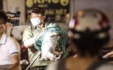 Cận cảnh một buổi làm việc của tổ săn bắt chó thả rông ở Hà Nội 
