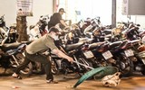 Cận cảnh một buổi làm việc của tổ săn bắt chó thả rông ở Hà Nội 
