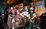 Cận cảnh một buổi làm việc của tổ săn bắt chó thả rông ở Hà Nội 