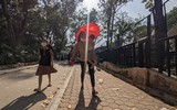 Hà Nội: Chen chân đi chơi công viên Thủ Lệ, trẻ em mệt mỏi vì nắng nóng