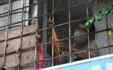 Cận cảnh cắt 