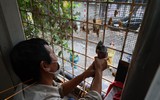 Cận cảnh cắt 