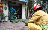 Cận cảnh cắt 