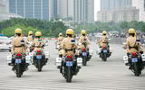 Ấn tượng màn trình diễn của những 