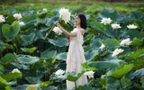 Ngỡ ngàng vẻ đẹp như tranh của thiếu nữ Hà Thành bên đầm sen độc đáo ở Thanh Oai