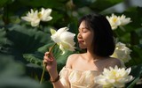 Ngỡ ngàng vẻ đẹp như tranh của thiếu nữ Hà Thành bên đầm sen độc đáo ở Thanh Oai