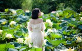 Ngỡ ngàng vẻ đẹp như tranh của thiếu nữ Hà Thành bên đầm sen độc đáo ở Thanh Oai
