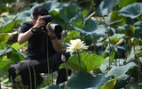 Ngỡ ngàng vẻ đẹp như tranh của thiếu nữ Hà Thành bên đầm sen độc đáo ở Thanh Oai
