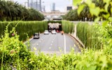 Nhìn từ Flycam đoạn đường xanh độc đáo ngay cửa ngõ Thủ đô