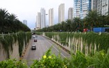 Nhìn từ Flycam đoạn đường xanh độc đáo ngay cửa ngõ Thủ đô