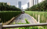 Nhìn từ Flycam đoạn đường xanh độc đáo ngay cửa ngõ Thủ đô