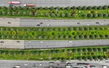 Nhìn từ Flycam đoạn đường xanh độc đáo ngay cửa ngõ Thủ đô
