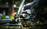 Cận cảnh vườn hoa với đài phun nước đặc biệt lâu đời nhất Thủ đô sắp được khoác 