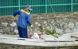 Cận cảnh hồ Tây sau khi lãnh đạo thành phố chỉ đạo nóng xử lý tình trạng cá chết hàng loạt