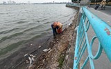 Cận cảnh hồ Tây sau khi lãnh đạo thành phố chỉ đạo nóng xử lý tình trạng cá chết hàng loạt