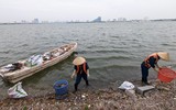 Cận cảnh hồ Tây sau khi lãnh đạo thành phố chỉ đạo nóng xử lý tình trạng cá chết hàng loạt