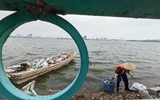 Cận cảnh hồ Tây sau khi lãnh đạo thành phố chỉ đạo nóng xử lý tình trạng cá chết hàng loạt