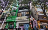 Ngắm hàng cây hoa sữa sắp phải di dời vì mùi hương nồng nặc ở Hà Nội