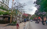 Ngắm phố phường Hà Nội đẹp lạ khi cây mỹ nhân độc đáo nở rộ