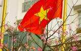 Ngắm phố phường Hà Nội đẹp lạ khi cây mỹ nhân độc đáo nở rộ