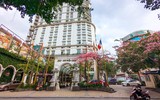 Ngắm phố phường Hà Nội đẹp lạ khi cây mỹ nhân độc đáo nở rộ